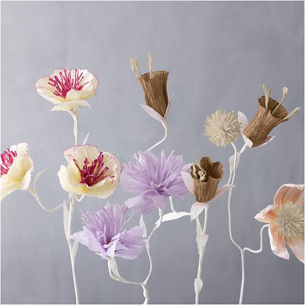 Floristen-Krepppapier, 25x60 cm, Extrastark, 105 g, Natur, 8 Rollen Bild 5