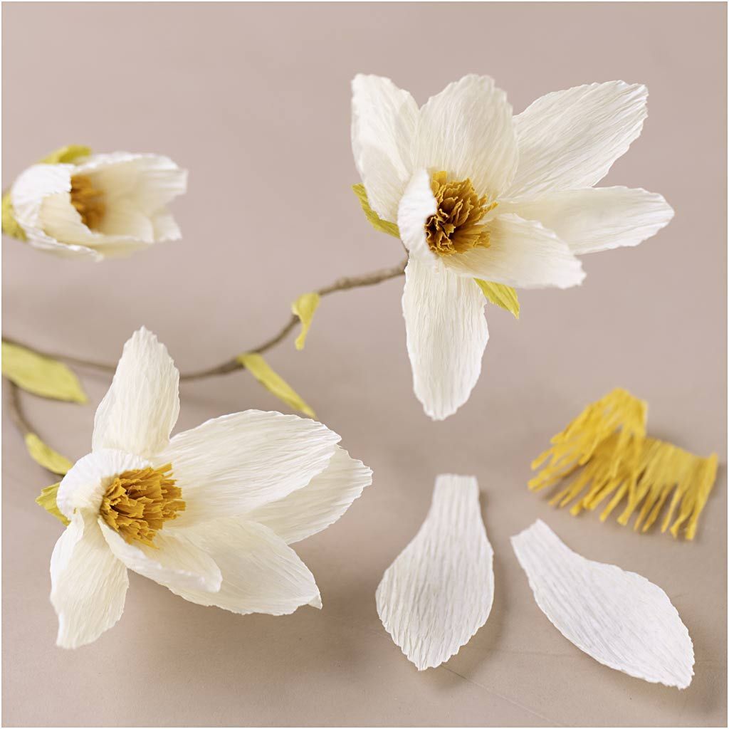 Kreativ Set Floristen-Krepppapier, Magnolienzweig, Extrastarkes Krepp, 105 g Bild 4