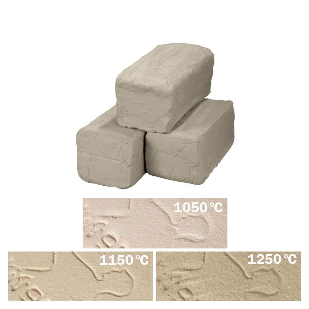 10kg Töpferton Westerwald / Tonmasse schamottiert 0-1mm, weiß