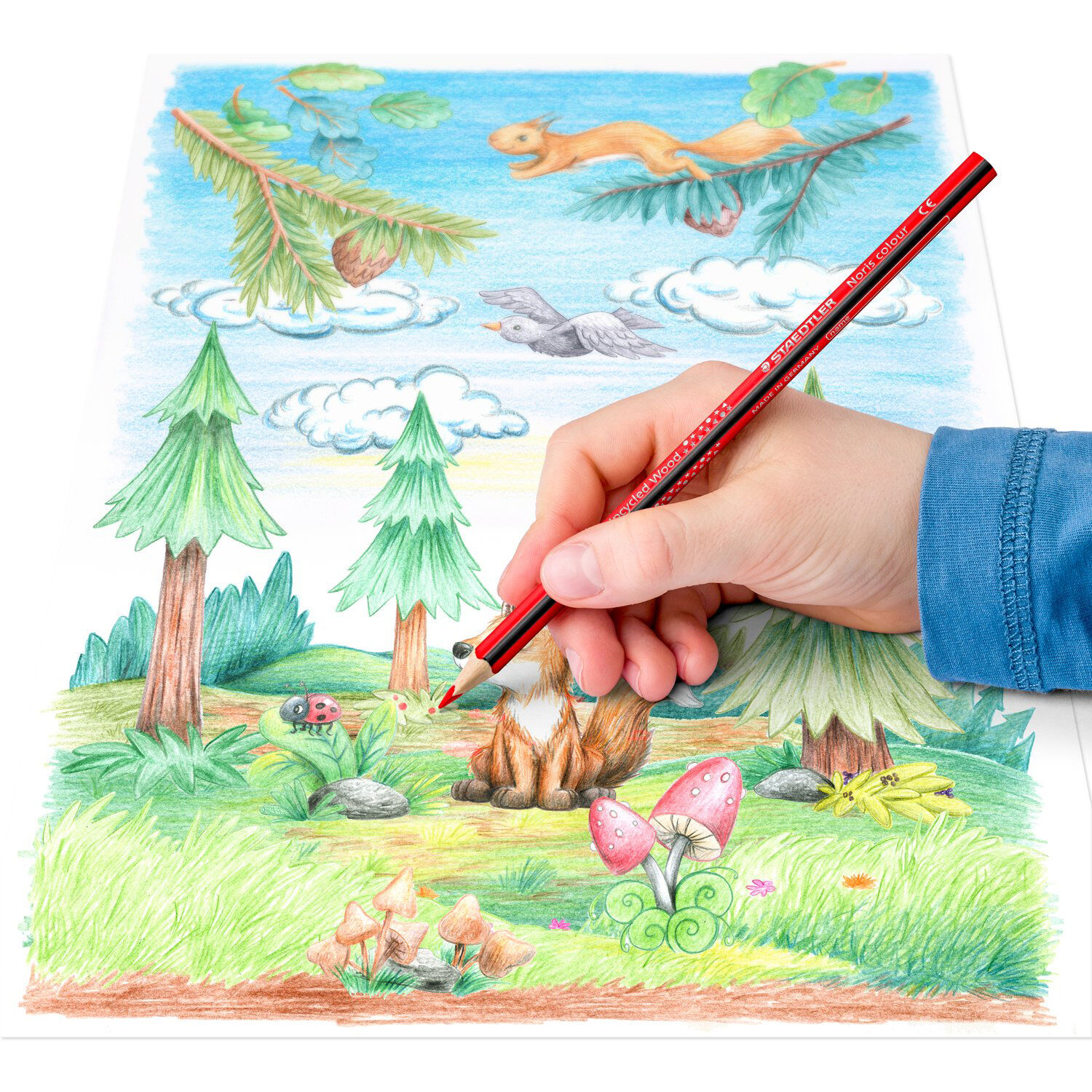Staedtler Buntstifte, Noris Colour, 12 Stck sortiert Bild 3