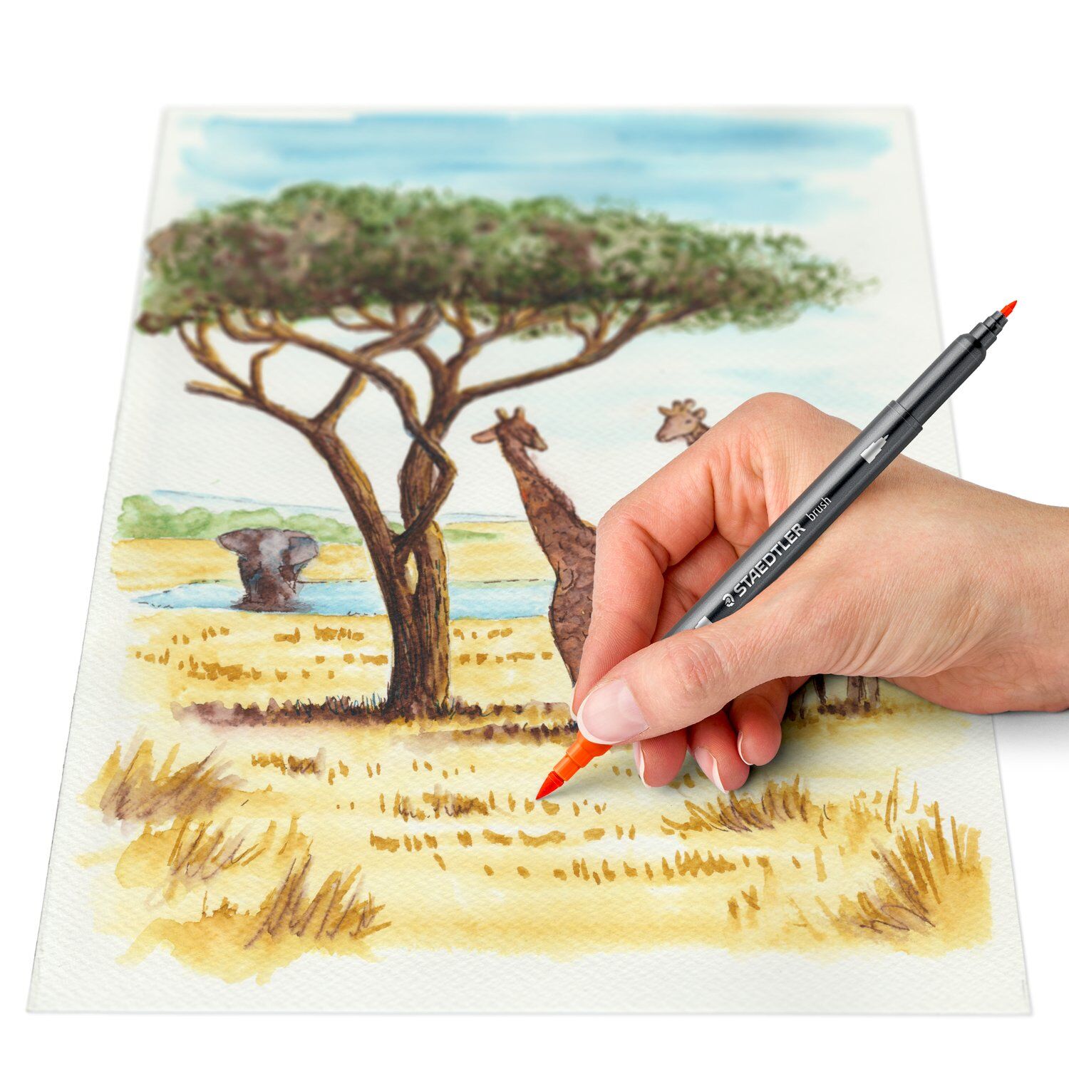 Staedtler wasservermalbare Doppelfasermaler 3001, Set Afrika, 6 Farben sortiert Bild 3