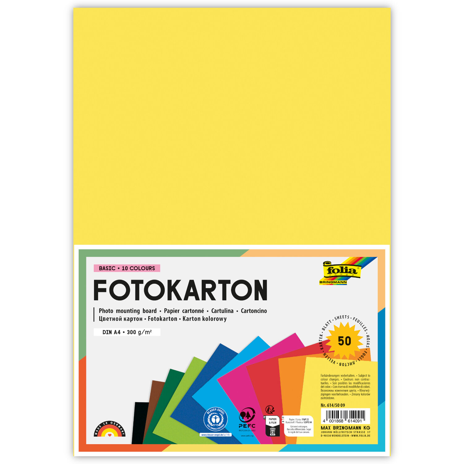 Fotokarton, 50 Bogen, 300 g/qm, DIN A4, 10 Farben