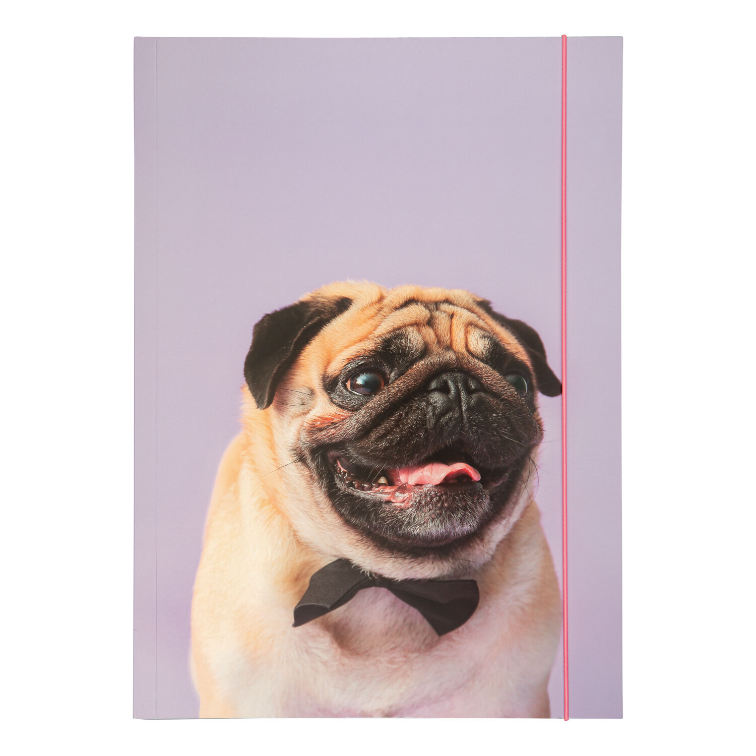 Sammelmappe mit Gummiband, A3, 1 Mappe, BASIC PUGGY LOVE / Mops