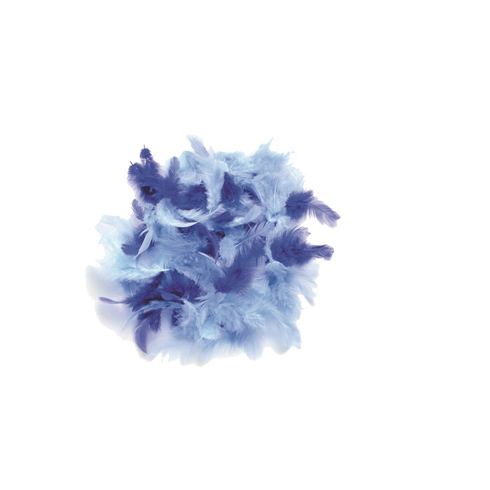 Deko-Federn, 10 g, blau sortiert