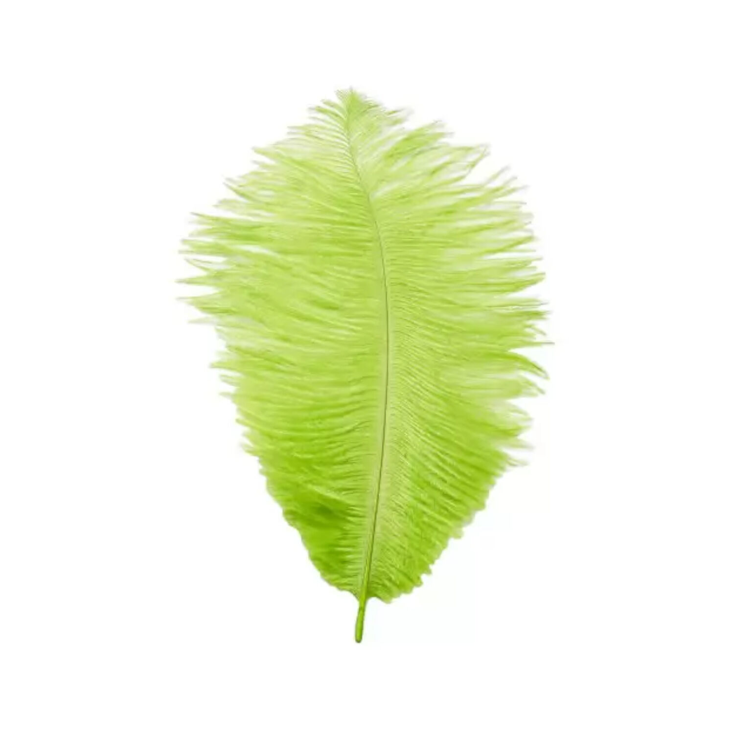 Straussenfeder, 20 cm, 2 Stck, Hellgrn