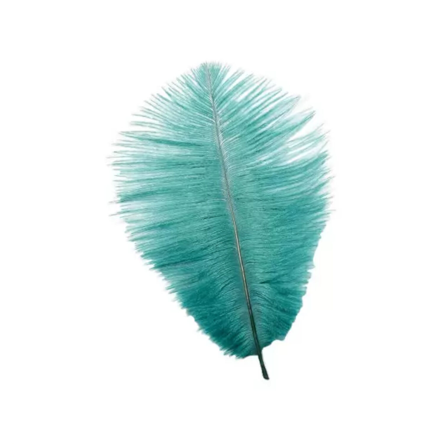 Straussenfeder, 20 cm, 2 Stck, Petrol