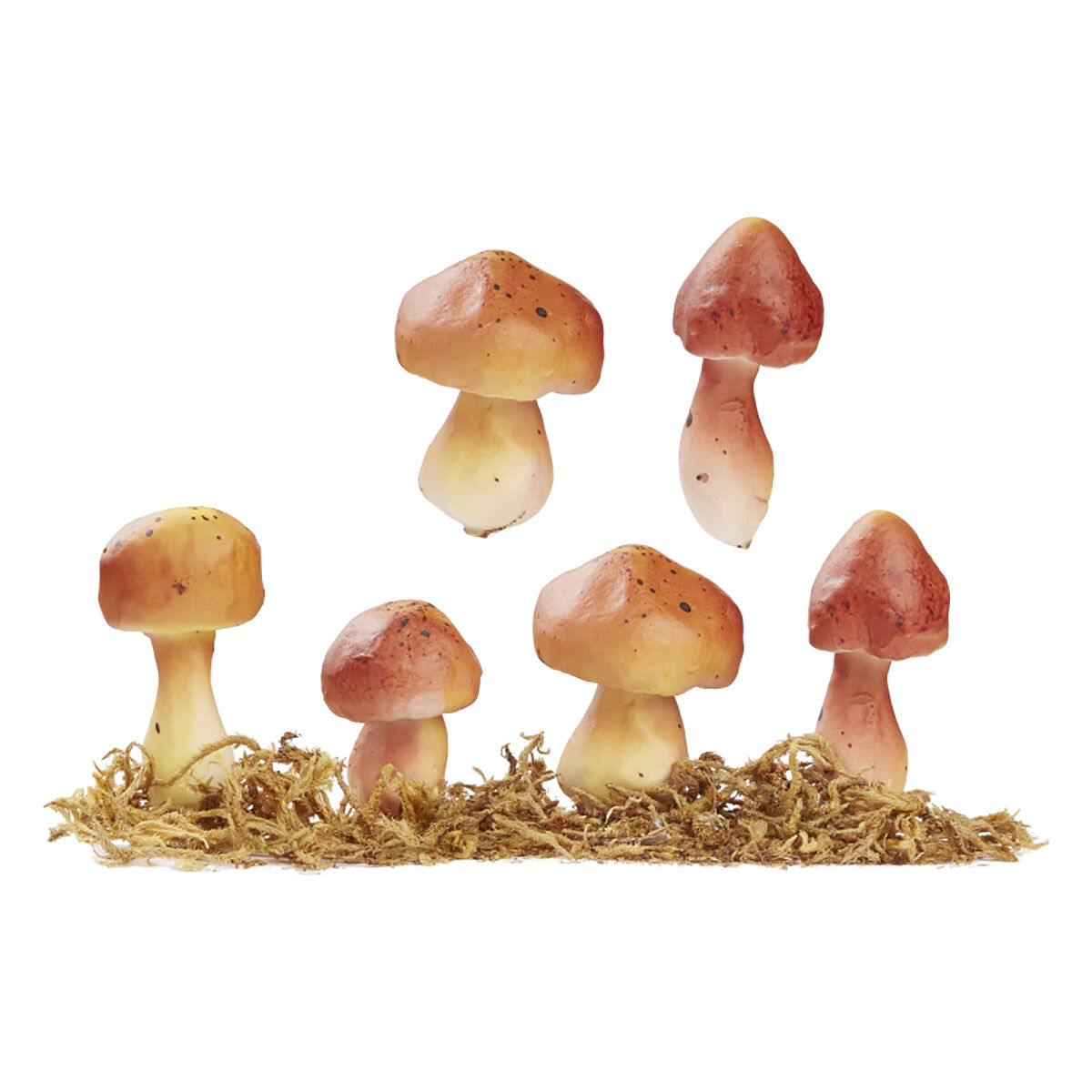 NEU Miniatur-Pilze mit Moos, Gre ca. 4 - 4,5 cm, Beutel mit 4 Stck, sortiert