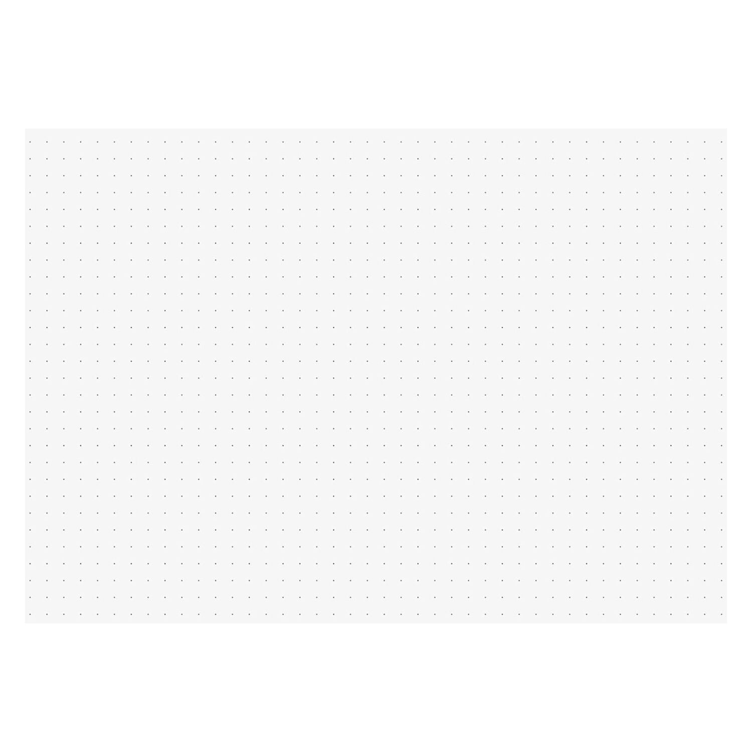 NEU Karteikarten DIN A5 dotted wei� Bild 2