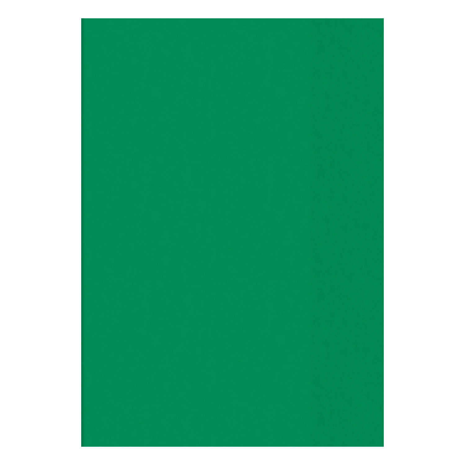 NEU Hefth�lle DIN A4, transparent-gr�n