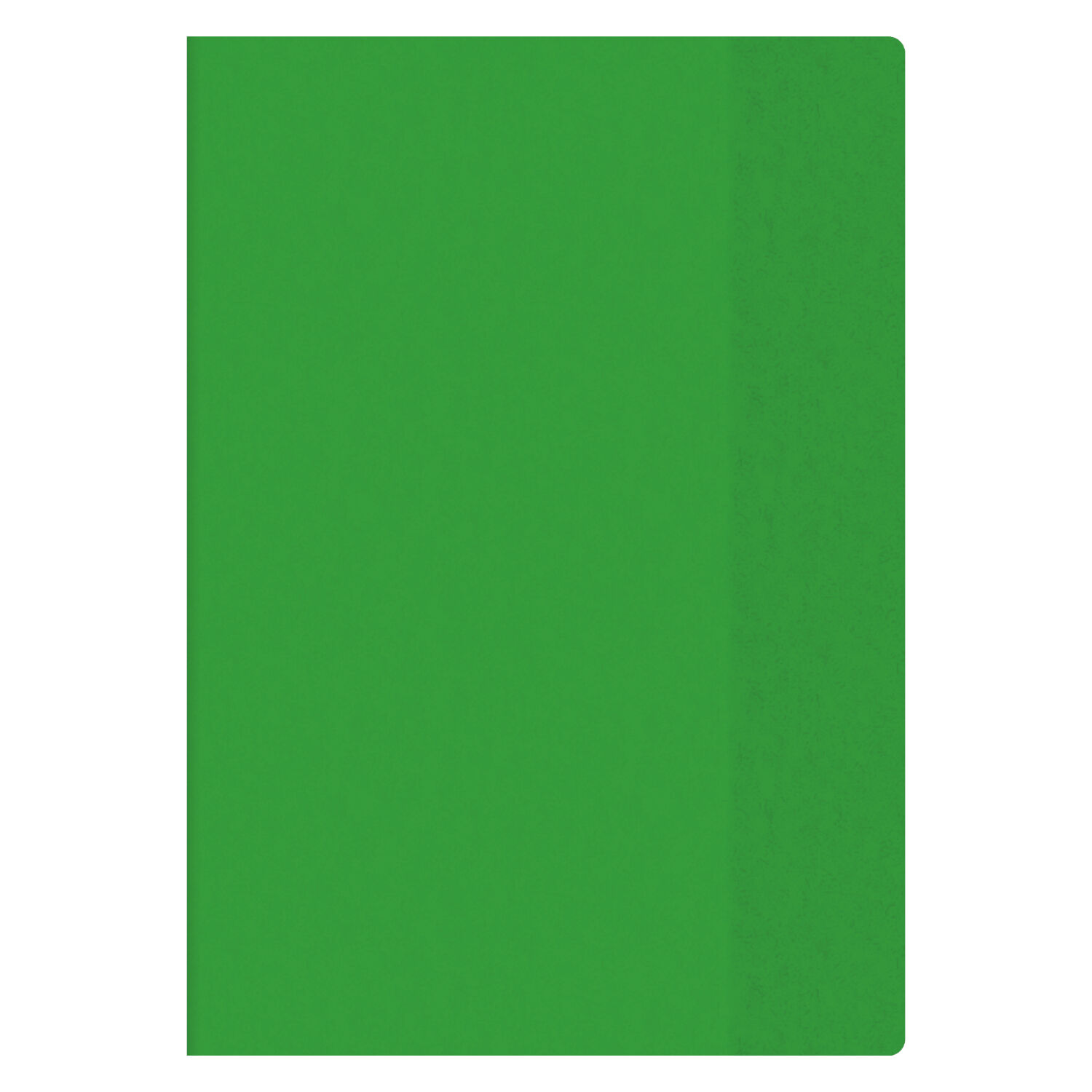 Brunnen Hefth�lle Premium Extrastark, A4, Transparent Gr�n