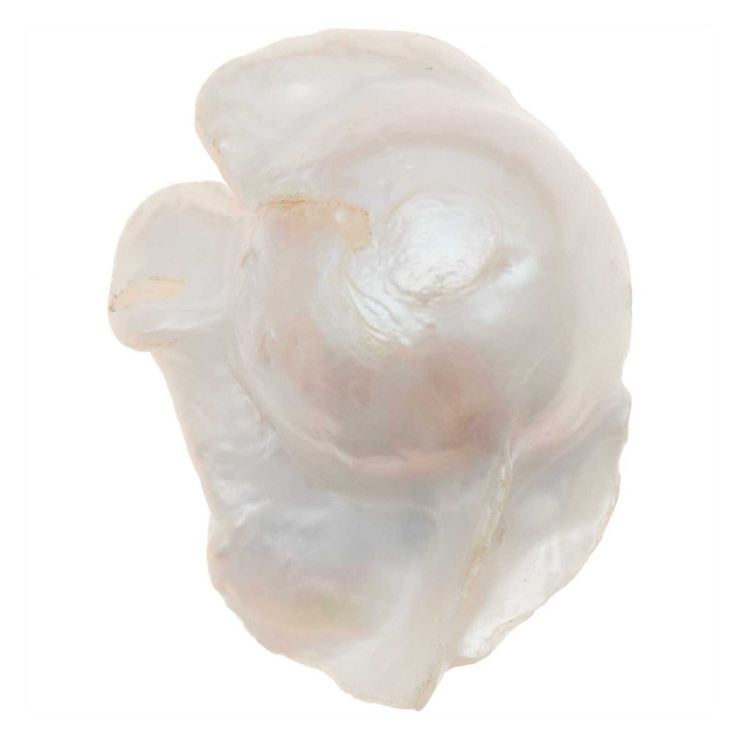 Swasserperle Itoshii, Barock, 28 x 16 x 12 mm, 1 Stk, Natur Bild 2