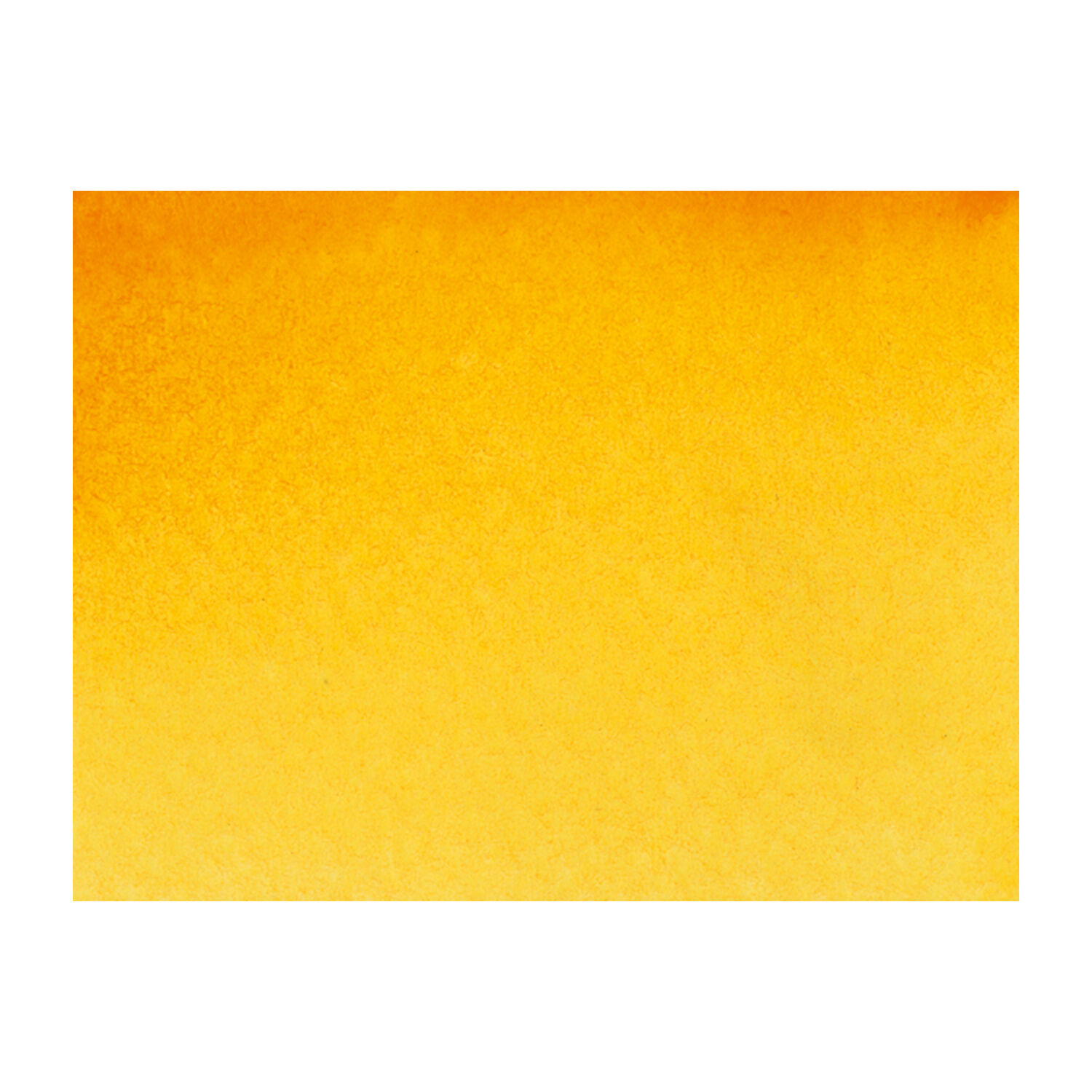 Akademie-Aquarellfarbe 1/2 Napf, Indischgelb Bild 2