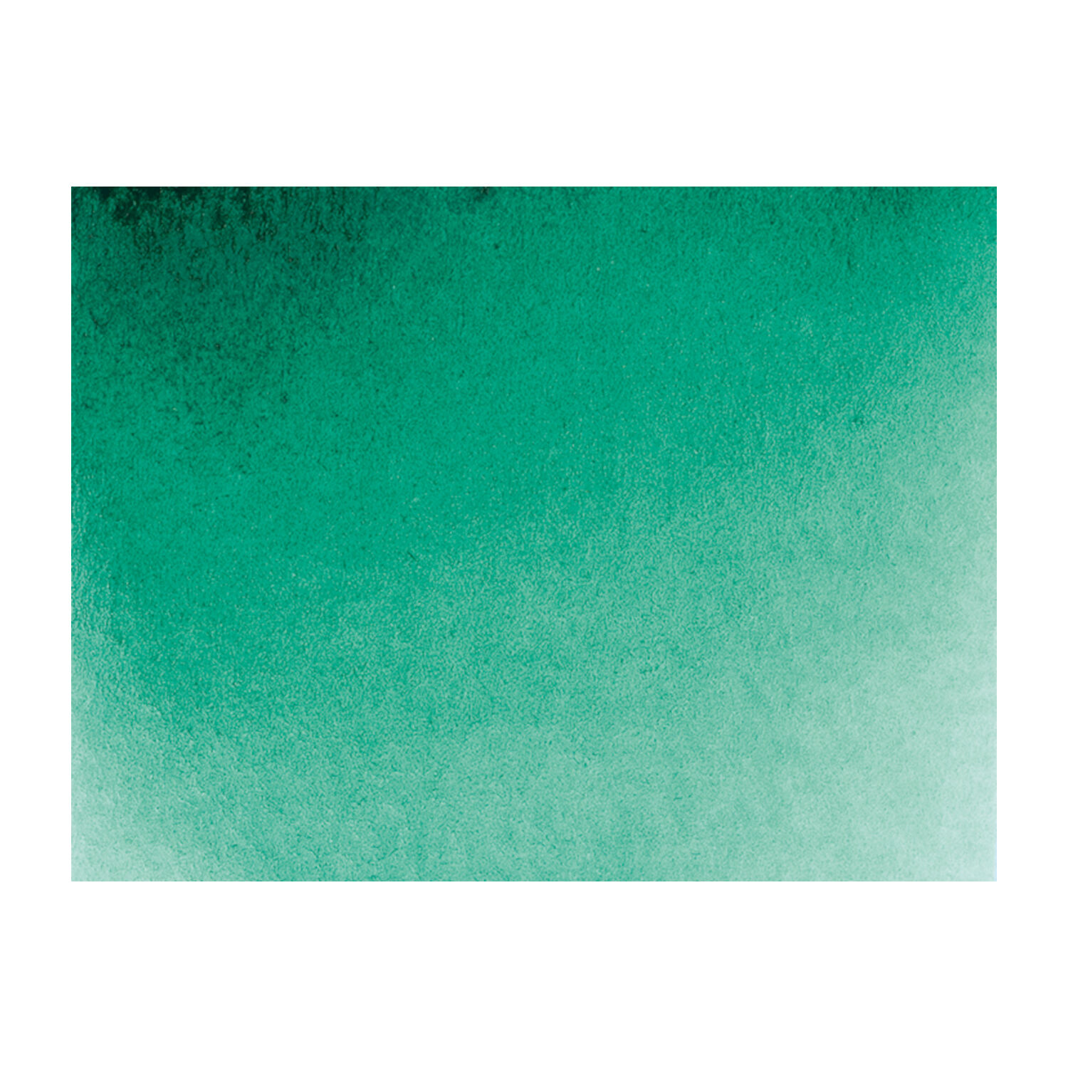 Akademie-Aquarellfarbe 1/2 Napf, Brilliantgrün Bild 2