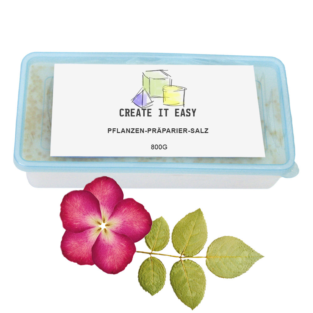 Create It Easy Prparier-Salz, 800g zum Austrocknen von Blumen und Pflanzen