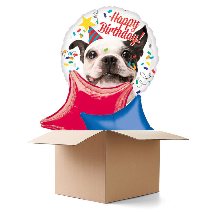 Ballongrusse Happy Birthday Dog 3 Ballons Luftballon Grusse