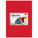 Color-Bastelkarton / Tonkarton 180g/m�, DIN A3, 120 Blatt, 12 Farben sortiert