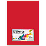 Color-Bastelkarton / Tonkarton 180g/m�, DIN A4, 120 Blatt, 12 Farben sortiert