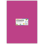 Fotokarton 300g/qm 50x70 cm, Eosin, 1 Bogen