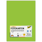 Fotokarton, 50 Bogen, 300 g/qm, DIN A4, Maigr�n