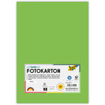 Fotokarton, 50 Bogen, 300 g/qm, DIN A4, Hellgr�n