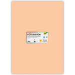 Fotokarton 300g/qm 50x70 cm, Aprikose, 1 Bogen