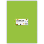 Fotokarton 10 Bogen, 300 g/qm, 50x70 cm, Maigr�n