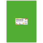 Fotokarton 10 Bogen, 300 g/qm, 50x70 cm, Grasgr�n