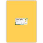 Fotokarton 10 Bogen, 300 g/qm, 50x70 cm, Gold Matt