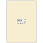 Tonpapier, 10 Bogen, 130 g/qm, 50x70 cm, Beige