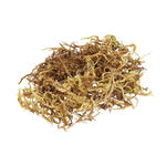 Hobbyfun Deko Moos 20g im Beutel, natur