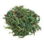 Hobbyfun Deko Moos 20g im Beutel, hellgr�n