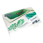 College Linol Malkasten, Karton-Set, 5 x 75 ml Prim�rfarben