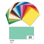 Tonpapier, 10 Bogen, 130 g/qm, 50x70 cm, Mint