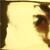 Metallic-Papier, 10 Blatt, A4, 210x297 mm, 120 g, Gold Bild 2