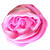 Batik Textilfarbe / Fabric Dye, 90 ml, Pink - Pink