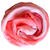 Batik Textilfarbe / Fabric Dye, 90 ml, Rot - Rot