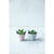 NEU Botz Flssig-Glasur 200ml Kreidegrau Bild 3