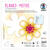 Blanko-Motiv Blume aus Fotokarton, 300g/qm, 20 Stck, 22 x 22 cm