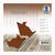 Faltbltter intensiv, 100 Blatt, 15 x 15 cm, Mittelbraun