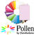 SALE Pollen Papeterie Klappkarte C6 25 Stk. Bonbon - Bonbon