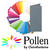 SALE Pollen Papeterie Klappkarte lang 25 St. Grau - Grau