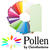 SALE Pollen Papeterie Karte lang 25 St. Knospengrün - Knospengrün