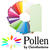 SALE Pollen Papeterie Karte lang 25 St. Knospengrn - Knospengrn