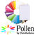 SALE Pollen Papeterie Klappkarte C6 25 Stk. Lila - Lila