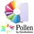 SALE Pollen Papeterie Klappkarte lang 25 Stk. Lila - Lila