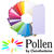 SALE Pollen Papeterie Klappkarte lang 25 Stk. Lila - Lila