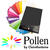 SALE Pollen Papeterie Papier A4 120g 50 Stk. Schwarz - Schwarz