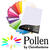 SALE Pollen Papeterie Papier A4 120g 50 Stk. Lila - Lila