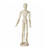 NEU Modellpuppe / Gliederpuppe, Mann, Hhe: 30 cm
