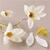 Kreativ Set Floristen-Krepppapier, Magnolienzweig, Extrastarkes Krepp, 105 g Bild 4